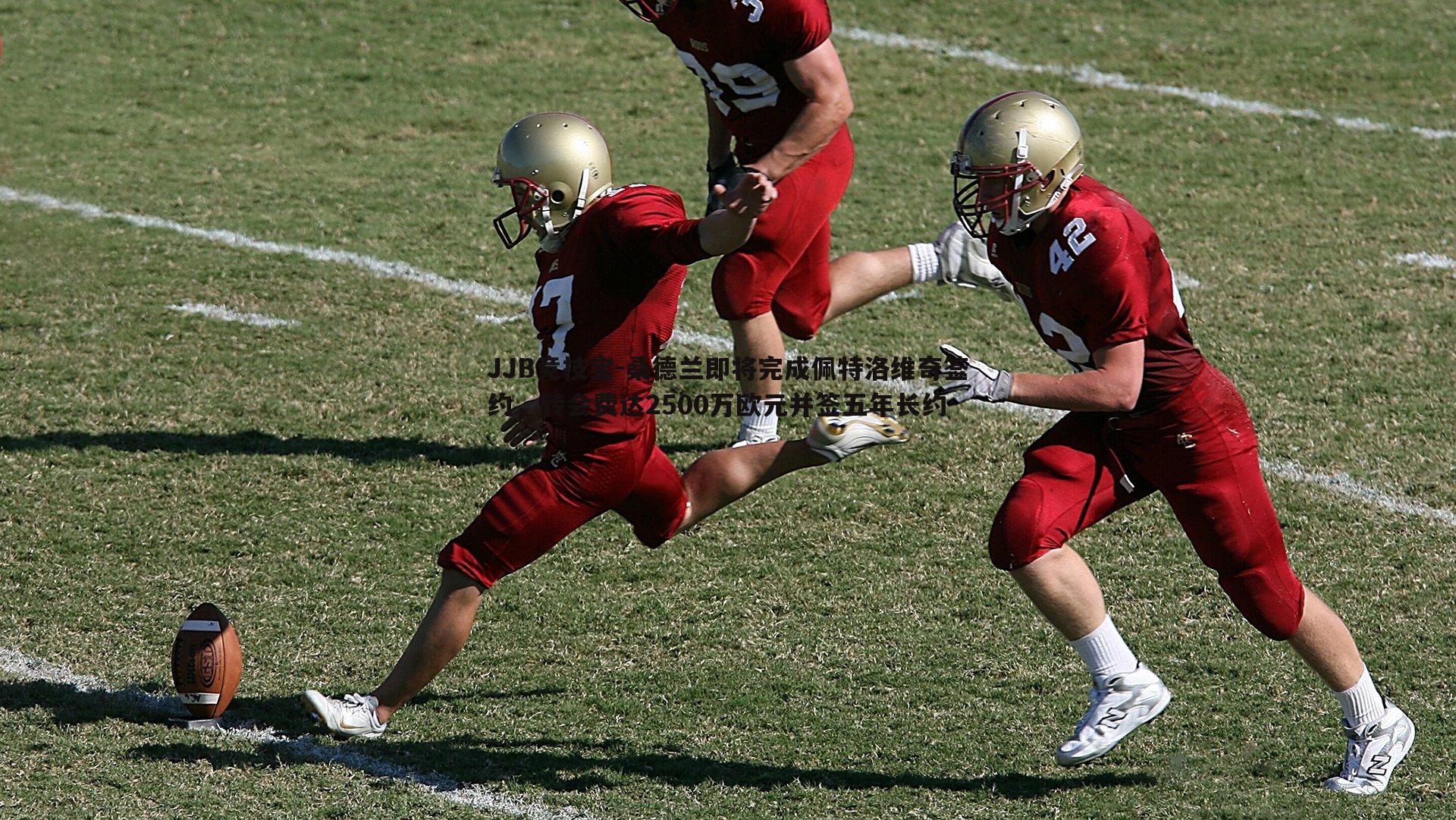 桑德兰即将完成佩特洛维奇签约，转会费达2500万欧元并签五年长约